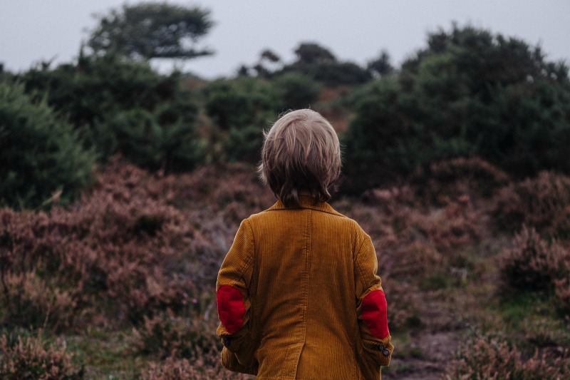 boy looking out at forest
